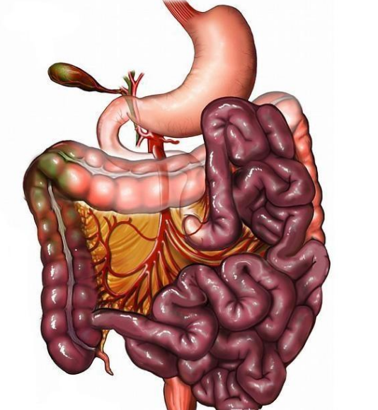 腸息肉者，排便出現(xiàn)3個(gè)異常，十有八九息肉已變成“癌”